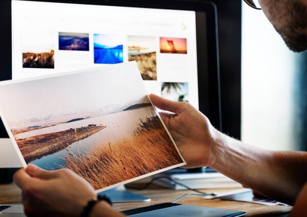 Top 3 Altcoins to Watch This Month